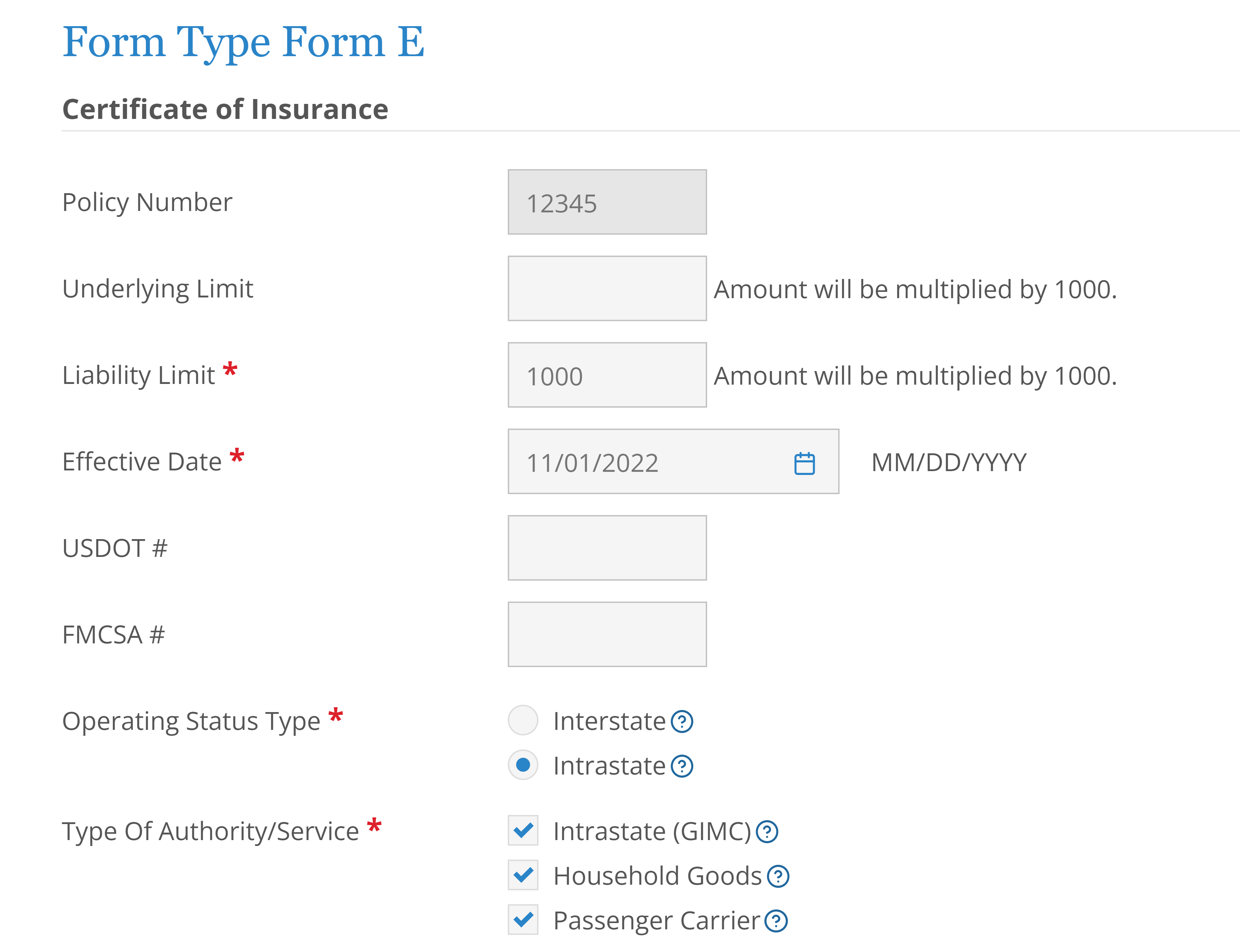 Screen shot of GA Form E filing form with Operation Status and Type of Authority questions.